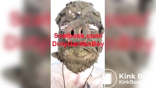 Scat pig eating shit