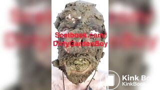 Scat pig eating shit