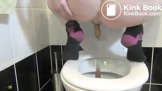 A Big Pile Of Shit In The Toilet