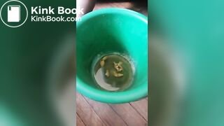 Solo ebony striptease scat force poop in bucket