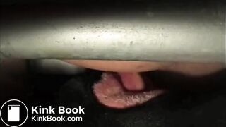 Turds For a Hungry Mouth