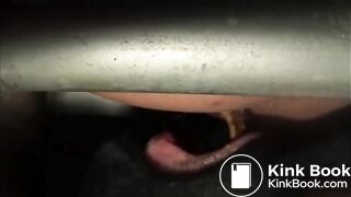 Turds For a Hungry Mouth