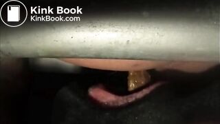 Turds For a Hungry Mouth