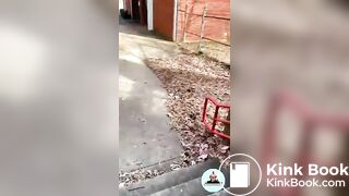 Outdoor Feeding