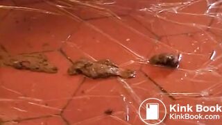 Shit everywhere
