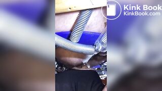 le cochon mange de la merde