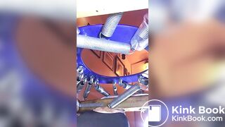 le cochon mange de la merde