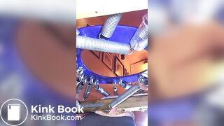 le cochon mange de la merde