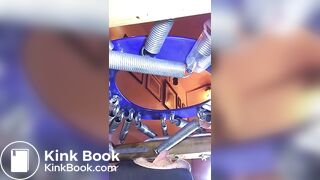 le cochon mange de la merde