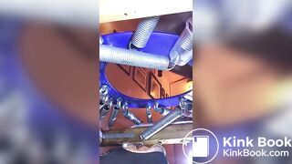 le cochon mange de la merde