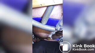 le cochon mange de la merde