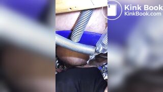 le cochon mange de la merde