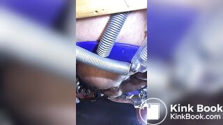 le cochon mange de la merde