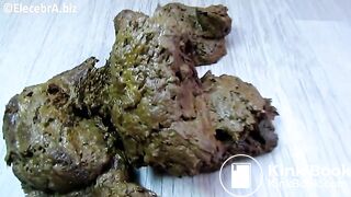 Elecebra Shits, Pisses, Eats and Smears