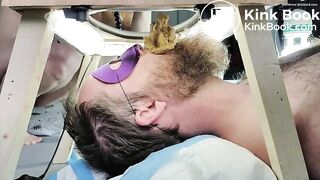 Human toilet with beard