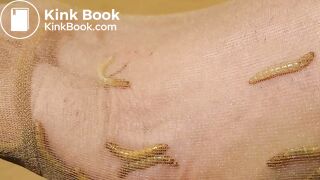 She Kills somes Maggots for more action