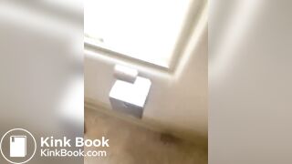 On the toilet