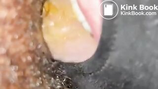 Hairy Young Black Feeder