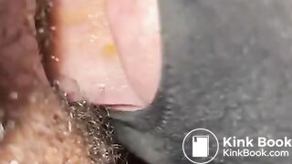 Hairy Young Black Feeder