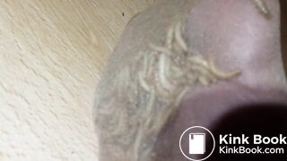 Wife Feet Tickling By Maggots All Night