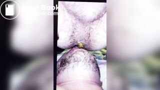 Swallow Shit
