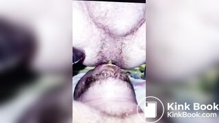 Swallow Shit