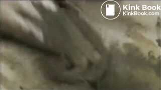 Sweet Betty scat Collection