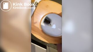 Huge Morning Turd