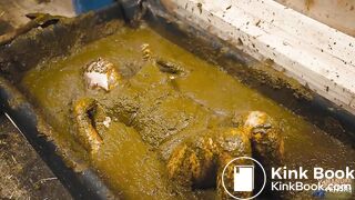 Cleaning ends in a mess - girl falls in to cowshit