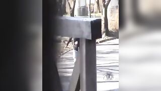 Voyeur poop compilation phase 1