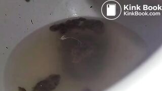 Soup and then toss my salad