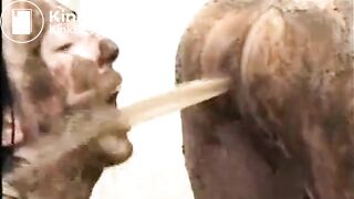 Sub Slag Lez Eats Shit & Drinks Enema From GF arse