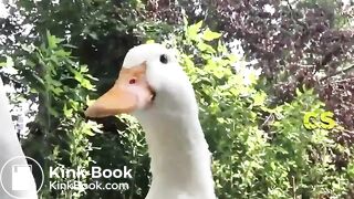 Young teen Puke fucked throats