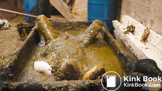 Frankys time in the manure basin - scat anal