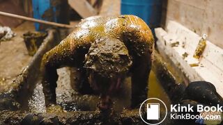 Frankys time in the manure basin - scat anal