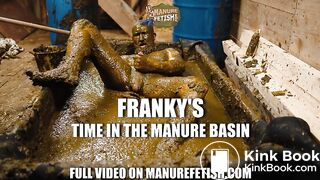 Frankys time in the manure basin - scat anal
