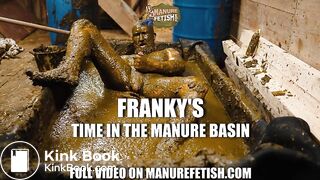 Frankys time in the manure basin - scat anal