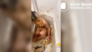 Asian guy's second scat video (Part 5)