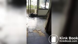 German Scat Holidays