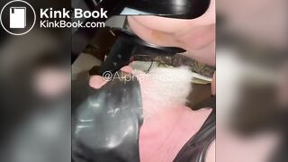 Toilet Dad Flushes My Entire Soft Dump