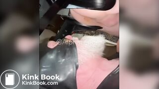 Toilet Dad Flushes My Entire Soft Dump