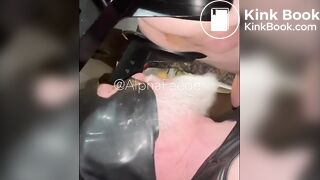 Toilet Dad Flushes My Entire Soft Dump