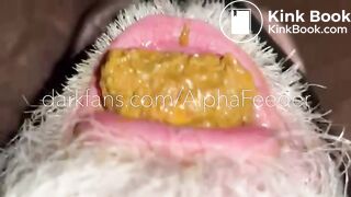 Toilet Eats My Full Sloppy Dump