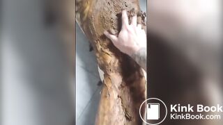 WE LOVE SHIT!!! Compilation