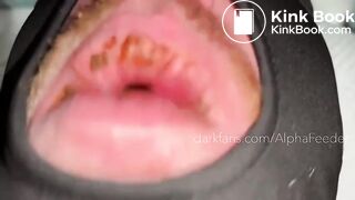Another Hungry Toilet Fed