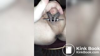 MTF Shemale Fingered In Shitty Ass With Cock Clamp