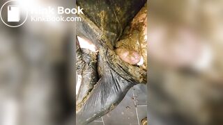 I won the Auction for Catwomen Suit (cow dung)