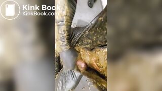 I won the Auction for Catwomen Suit (cow dung)