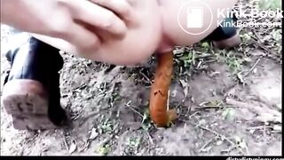 Shitting