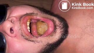 Toilet Flushes My Turds And Spit